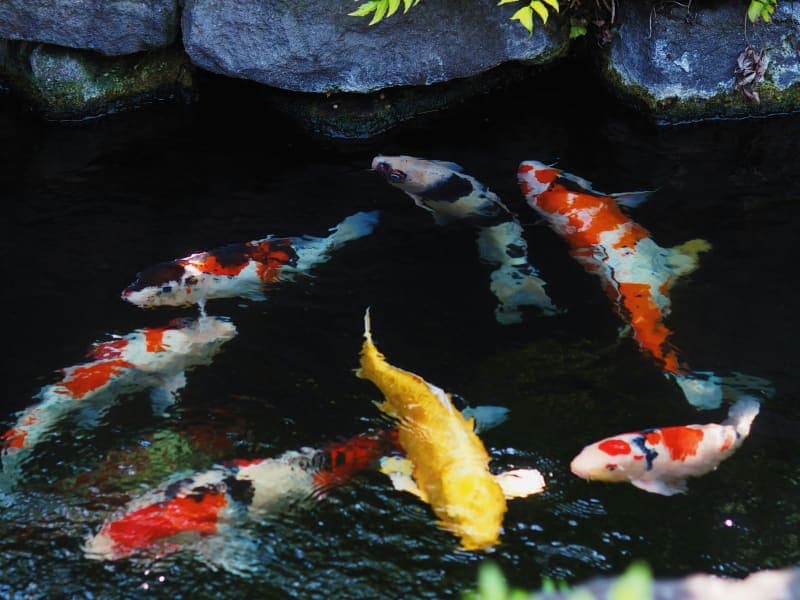 Architectural detail